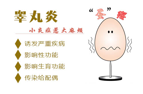 睾丸炎危害